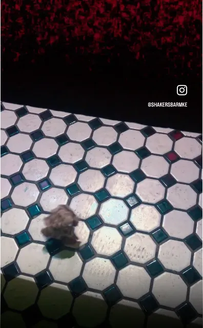Tiled floor with tiny object