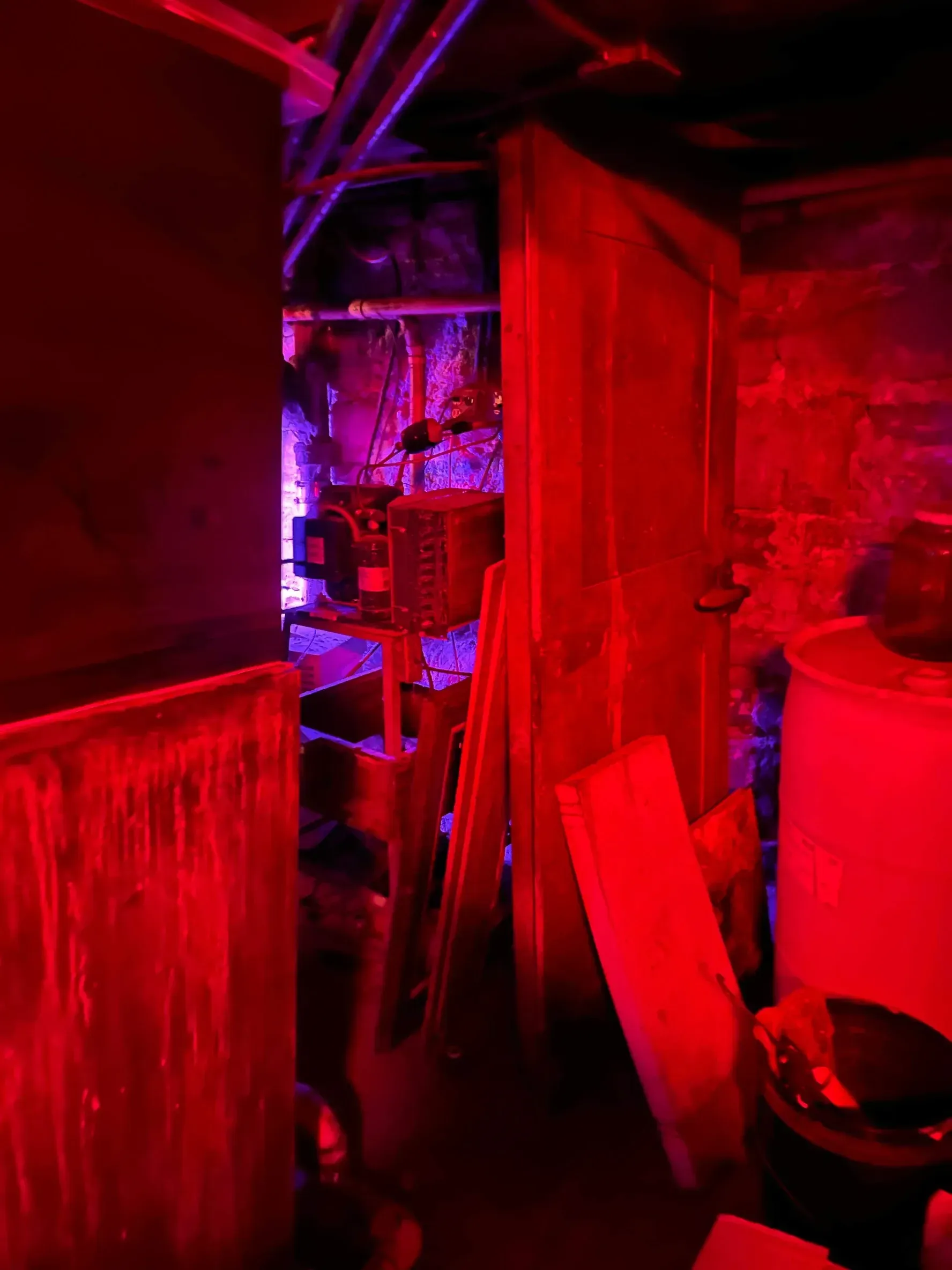 Creepy red-lit basement interior