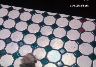 Tiled floor with tiny object